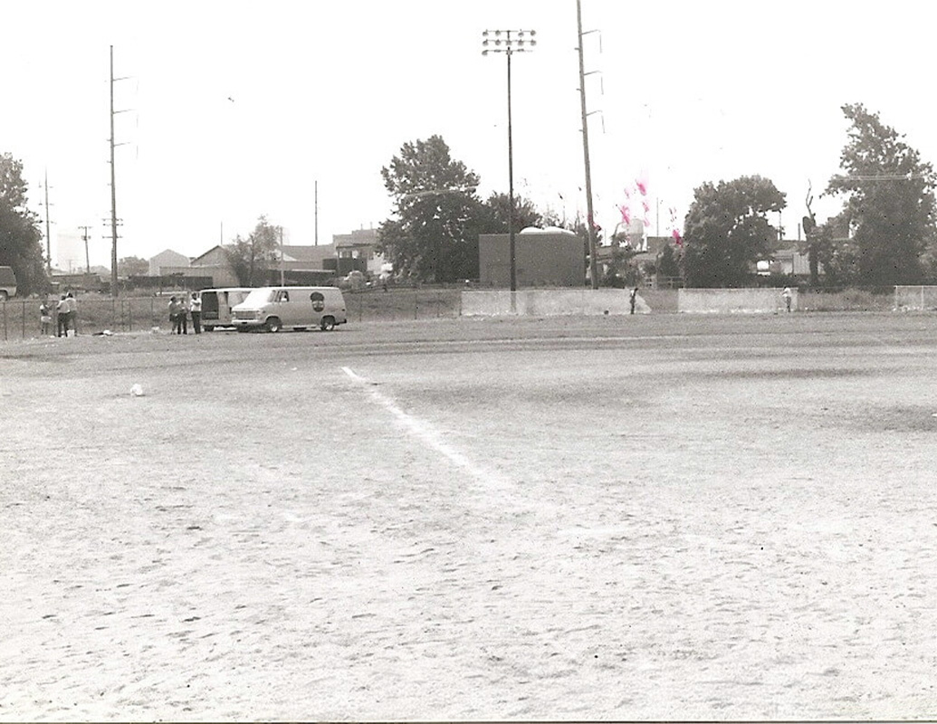 Spring Project: Baseball Field