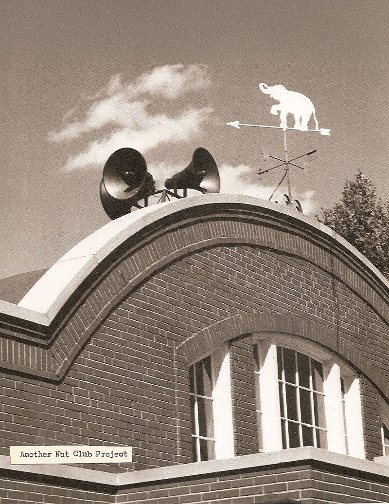 Amplifying the Zoo