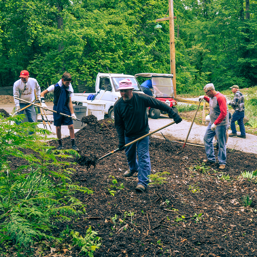 Nut Club Volunteering