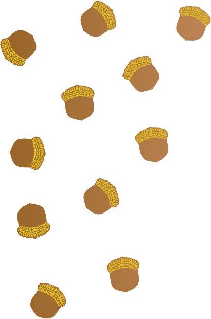 Acorns
