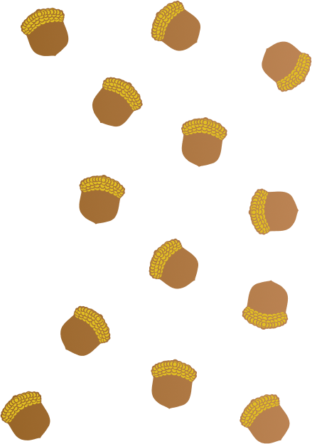 Acorns