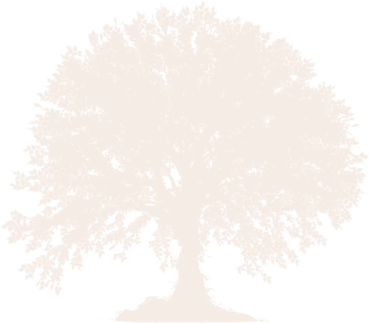 Tree Graphic