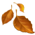 Leaf Icon