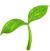 Sapling Icon